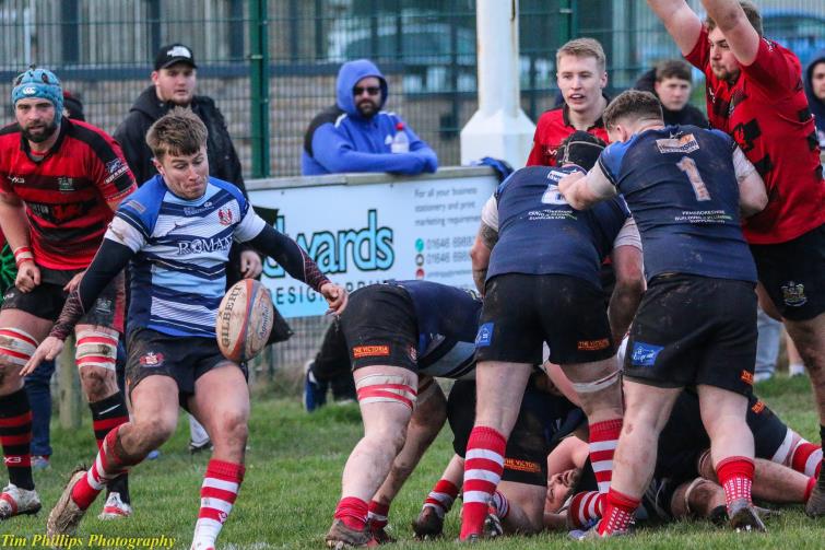 Milford Haven scrum half Dan McClelland box kicks. Picture Tim Phillips Photography Milford Haven scrum half Dan McClelland box kicks. Picture Tim Phillips Photography
